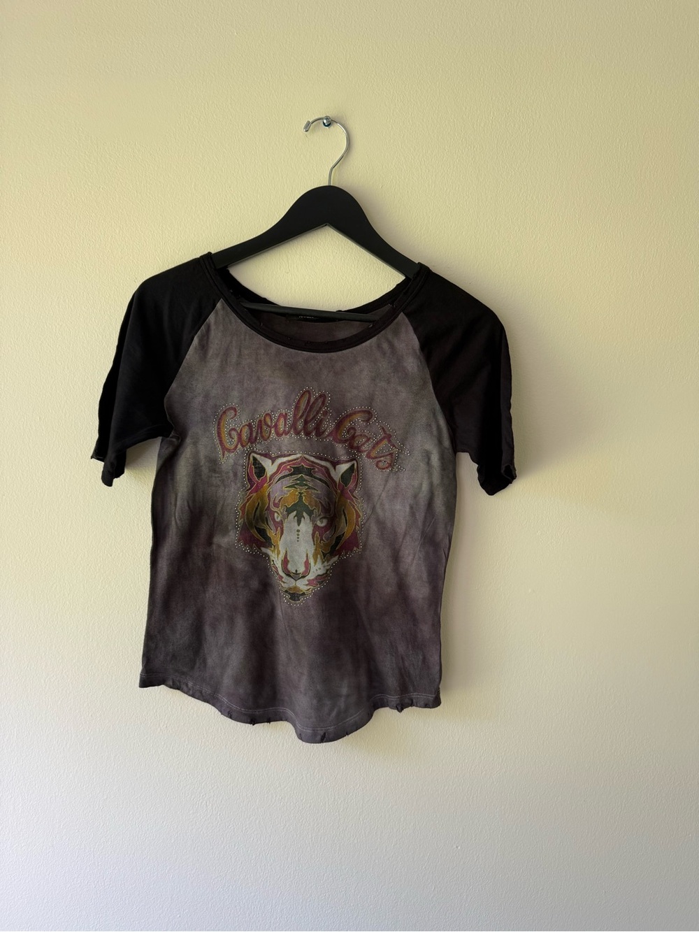 Roberto Cavalli Cotton Tie Dye Tiger Embellished Graphic Tee. Size 38